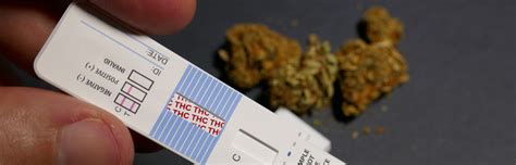 thc drug testing news